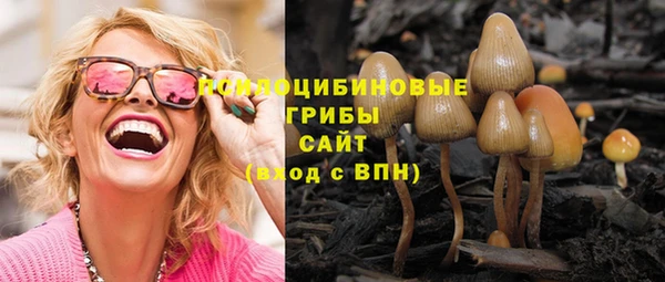 mix Абаза