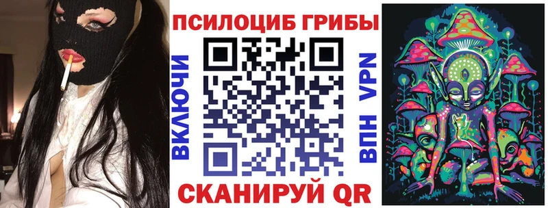 Псилоцибиновые грибы Cubensis  Казань 
